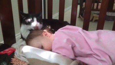 adorable cat and baby bath caturday