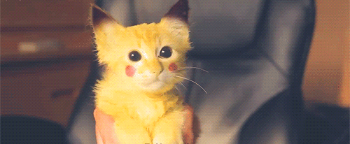 adorable kitten pokemon go pikachu caturday
