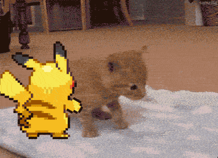 caturday jerk pikachu kitten shove pokemon