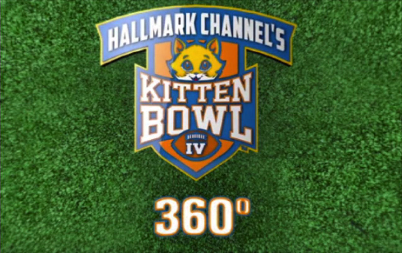 Watch Hallmark's Kitten Bowl In 360 Degrees Cats vs Cancer