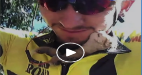 cyclist rescues kitten