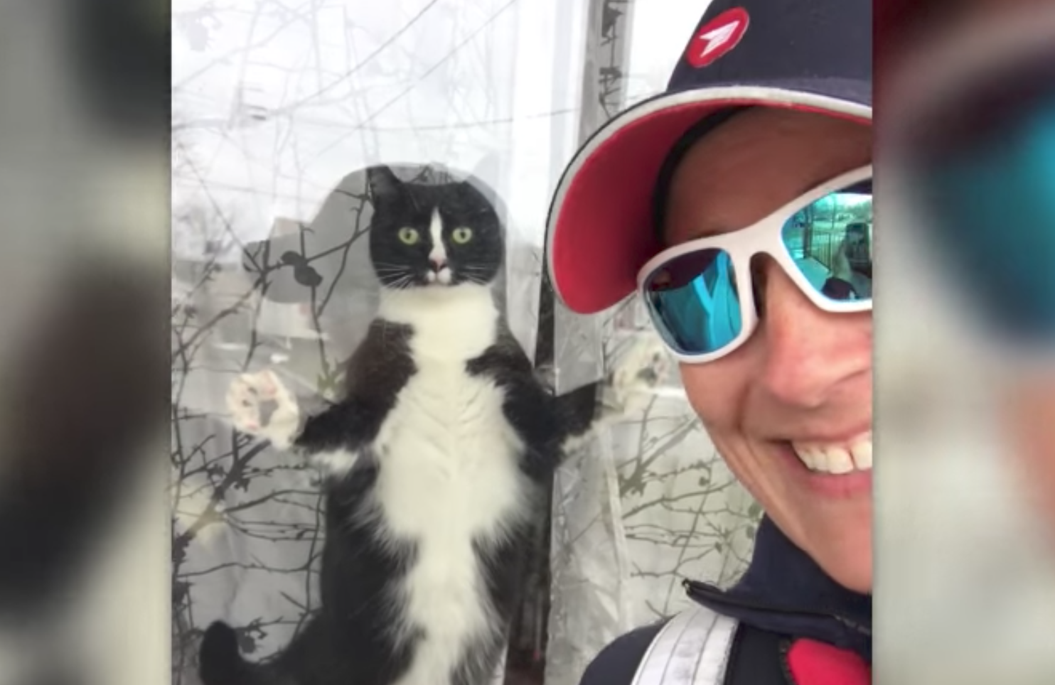 Cat Gets FIRED UP to See Postwoman - Cats vs Cancer