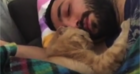 sweet ginger kitty cat loves his human