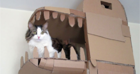 Look At This Epic Cardboard Dragon Cat House cats vs cancer