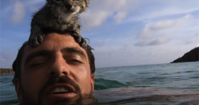 Cat Dad and Kitty Go For A Swim cats vs cancer