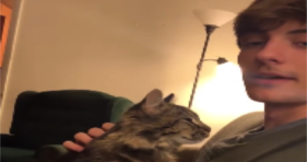 Little Rascal Kneads A Cat Dad rescue cats vs cancer
